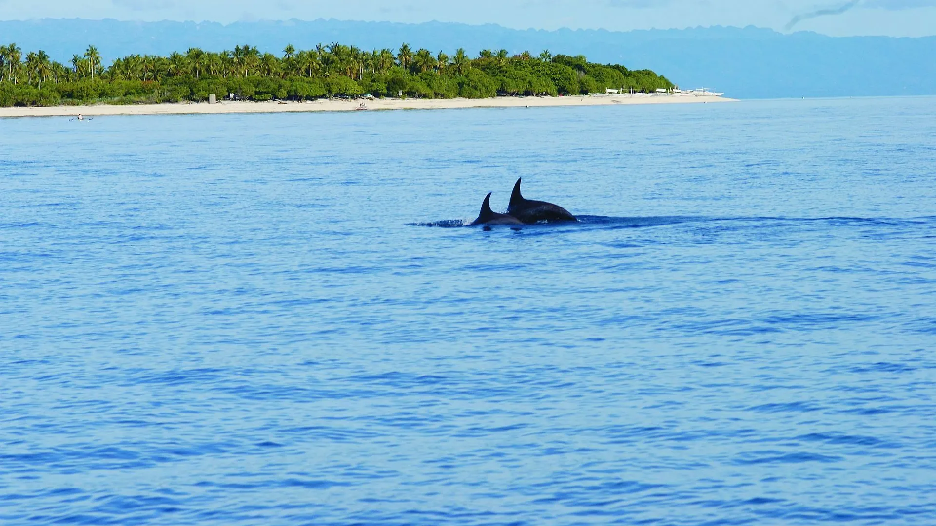 Ananyana Leisure Beach Resort Panglao